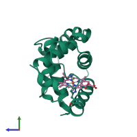 PDB entry 2lhb coloured by chain, side view.