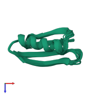 PDB entry 2lhd coloured by chain, ensemble of 20 models, top view.