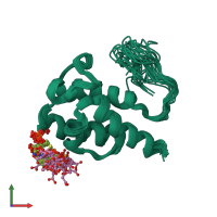 PDB entry 2liw coloured by chain, ensemble of 20 models, front view.