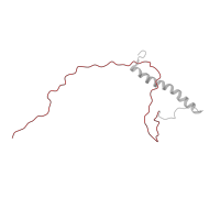 The deposited structure of PDB entry 2ljl contains 1 copy of Pfam domain PF04119 (Heat shock protein 9/12) in 12 kDa heat shock protein. Showing 1 copy in chain A.