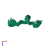 PDB entry 2lnf coloured by chain, ensemble of 40 models, top view.