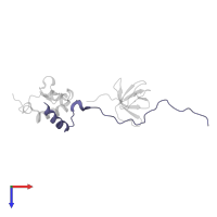 Secreted effector protein EspF(U) in PDB entry 2lnh, assembly 1, top view.