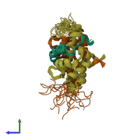 PDB entry 2lnk coloured by chain, ensemble of 20 models, side view.