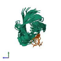 PDB entry 2lob coloured by chain, ensemble of 7 models, side view.