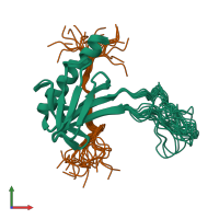 PDB entry 2lox coloured by chain, ensemble of 20 models, front view.