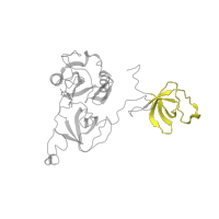 The deposited structure of PDB entry 2lqw contains 1 copy of Pfam domain PF07653 (Variant SH3 domain) in Crk-like protein. Showing 1 copy in chain A.