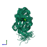 PDB entry 2lrp coloured by chain, ensemble of 20 models, side view.