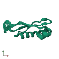 PDB entry 2lrs coloured by chain, ensemble of 20 models, front view.