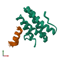 PDB entry 2lsj coloured by chain, ensemble of 20 models, front view.