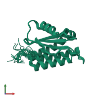 PDB entry 2lt2 coloured by chain, ensemble of 20 models, front view.