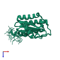 PDB entry 2lt2 coloured by chain, ensemble of 20 models, top view.