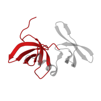 The deposited structure of PDB entry 2lvm contains 1 copy of CATH domain 2.30.30.140 (SH3 type barrels.) in TP53-binding protein 1. Showing 1 copy in chain A.