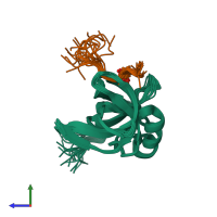 PDB entry 2lvm coloured by chain, ensemble of 20 models, side view.