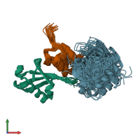PDB entry 2lvp coloured by chain, ensemble of 20 models, front view.
