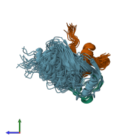 PDB entry 2lvp coloured by chain, ensemble of 20 models, side view.