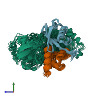 PDB entry 2lvq coloured by chain, ensemble of 24 models, side view.