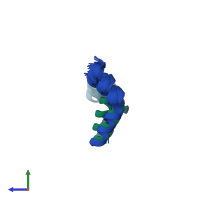 PDB entry 2lwa coloured by chain, ensemble of 20 models, side view.