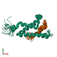 PDB entry 2lxs coloured by chain, ensemble of 20 models, front view.