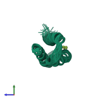 PDB entry 2lxy coloured by chain, ensemble of 32 models, side view.