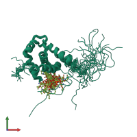 PDB entry 2lyb coloured by chain, ensemble of 20 models, front view.