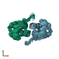 PDB entry 2lyl coloured by chain, ensemble of 20 models, front view.