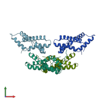 PDB entry 2lyn coloured by chain, front view.