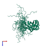 PDB entry 2lzj coloured by chain, ensemble of 20 models, top view.