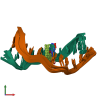 PDB entry 2lzk coloured by chain, ensemble of 5 models, front view.