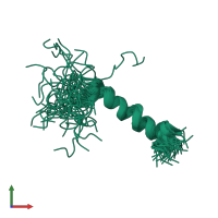 PDB entry 2lzp coloured by chain, ensemble of 39 models, front view.