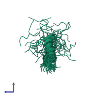 PDB entry 2lzp coloured by chain, ensemble of 39 models, side view.