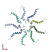 PDB entry 2lzs coloured by chain, front view.