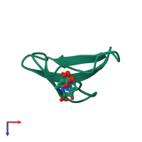 PDB entry 2lzx coloured by chain, ensemble of 20 models, top view.