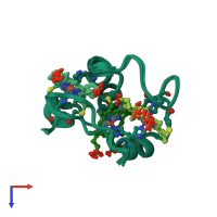 PDB entry 2lzz coloured by chain, ensemble of 20 models, top view.