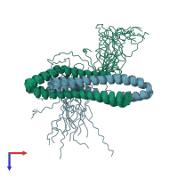 PDB entry 2m1n coloured by chain, ensemble of 20 models, top view.