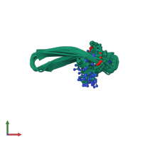 PDB entry 2m2g coloured by chain, ensemble of 20 models, front view.