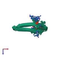 PDB entry 2m2g coloured by chain, ensemble of 20 models, top view.