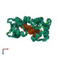 PDB entry 2m55 coloured by chain, ensemble of 20 models, top view.