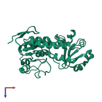 PDB entry 2m6k coloured by chain, ensemble of 30 models, top view.
