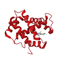 The deposited structure of PDB entry 2m6z contains 2 copies of CATH domain 1.10.490.10 (Globin-like) in Hemoglobin subunit alpha. Showing 1 copy in chain A.