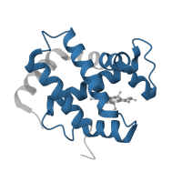 The deposited structure of PDB entry 2m6z contains 2 copies of Pfam domain PF00042 (Globin) in Hemoglobin subunit alpha. Showing 1 copy in chain A.