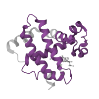 The deposited structure of PDB entry 2m6z contains 2 copies of Pfam domain PF00042 (Globin) in Hemoglobin subunit beta. Showing 1 copy in chain B.