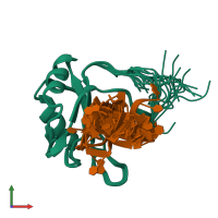 PDB entry 2mb0 coloured by chain, ensemble of 20 models, front view.