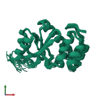 PDB entry 2mbc coloured by chain, ensemble of 20 models, front view.