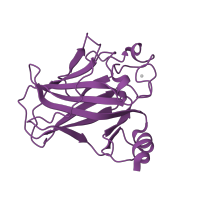 The deposited structure of PDB entry 2mej contains 1 copy of CATH domain 2.60.40.720 (Immunoglobulin-like) in Cellular tumor antigen p53. Showing 1 copy in chain B.