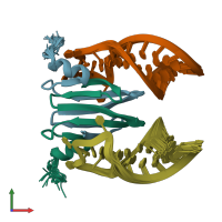 PDB entry 2mfc coloured by chain, ensemble of 20 models, front view.