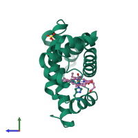 PDB entry 2mga coloured by chain, side view.