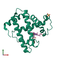 PDB entry 2mgl coloured by chain, front view.