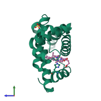 PDB entry 2mgl coloured by chain, side view.