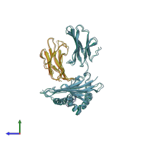 PDB entry 2mha coloured by chain, side view.