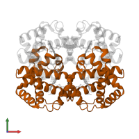Hemoglobin subunit beta in PDB entry 2mhb, assembly 1, front view.